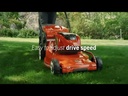 youtube - [Video]