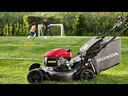 youtube - [Video]