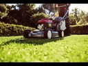 youtube - [Video]
