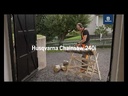 youtube - [Video]