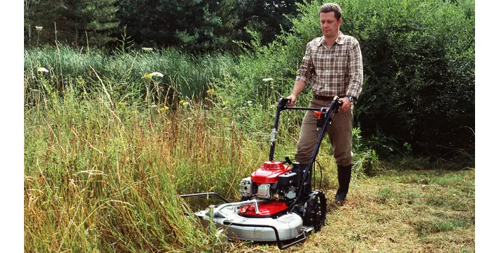 Grasscutter Location.webp