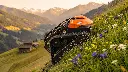 Mini_Wiese_40_Grad.webp