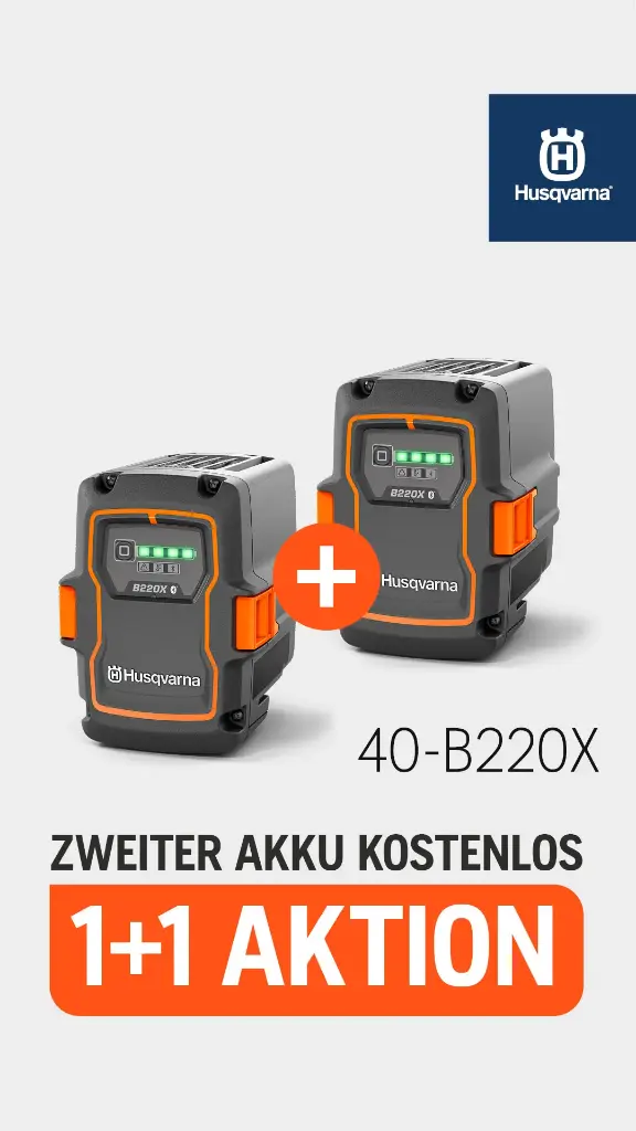 Akku 40-B220X 1+1 Gratis
